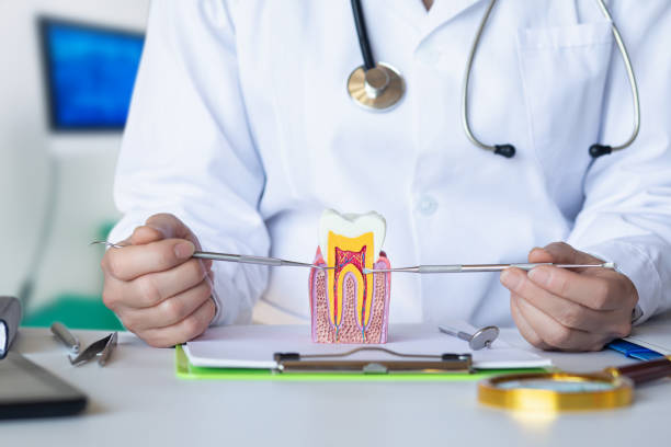 Best Emergency Dental Care for Abscessed Tooth in Avenel, NJ